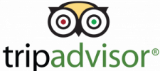 TripAdvisor-logo-300x146[1]